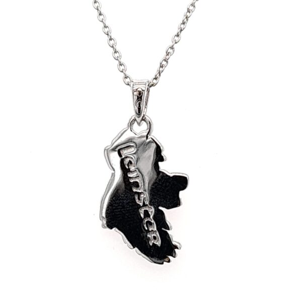 Sterling Silver “My Heart is in Leinster” Map of Ireland Pendant - Image 2