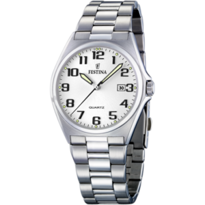 Festina Gents Watch F16374/9