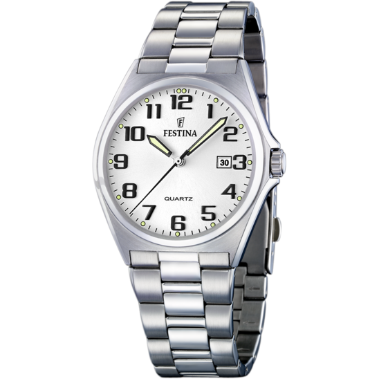 Festina Gents Watch F16374/9