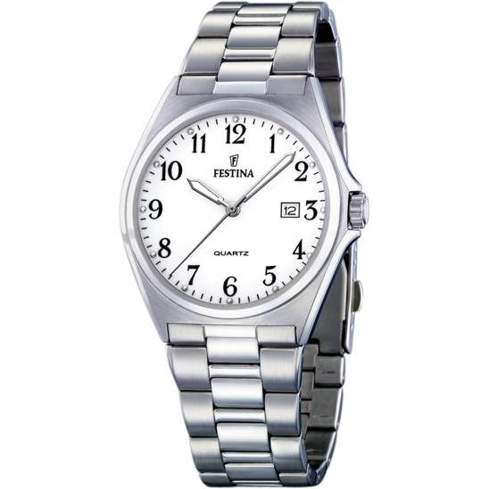 Festina Gents Watch F16374/1